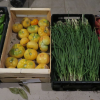 Vente de légumes les 22 et 23 août